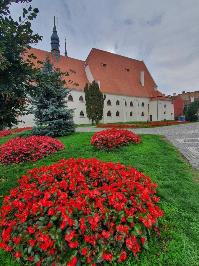 Via Transilvanica Sighisoara Exterior photo